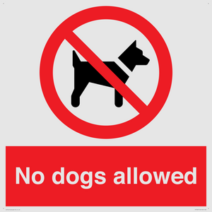 No dogs allowed